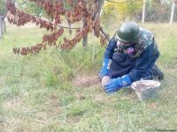 Ermənistan Tərtərə fosforlu bomba atıb (FOTO)