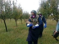 Ermənistan Tərtərə fosforlu bomba atıb (FOTO)