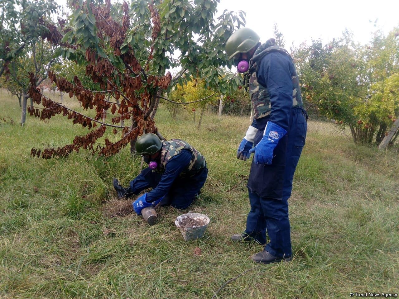 Ermənistan Tərtərə fosforlu bomba atıb (FOTO)
