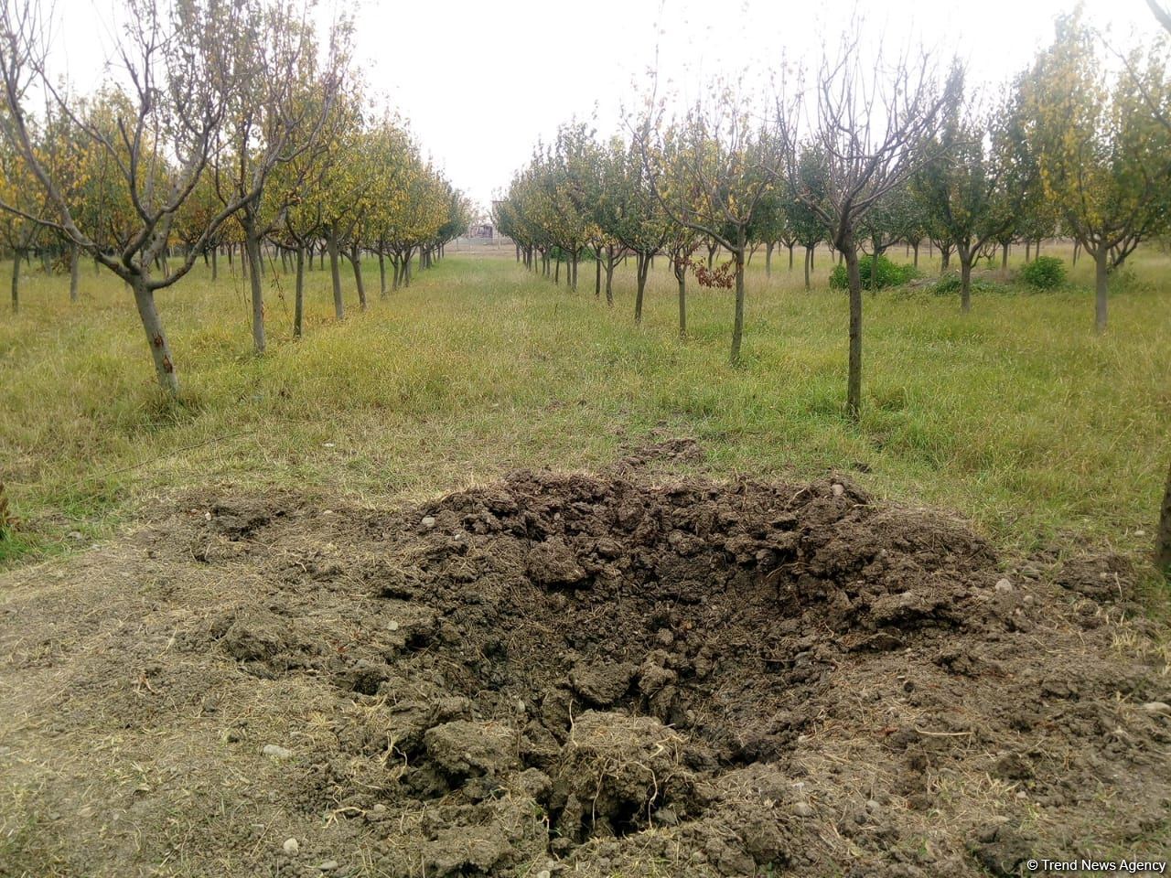 Ermənistan Tərtərə fosforlu bomba atıb (FOTO)