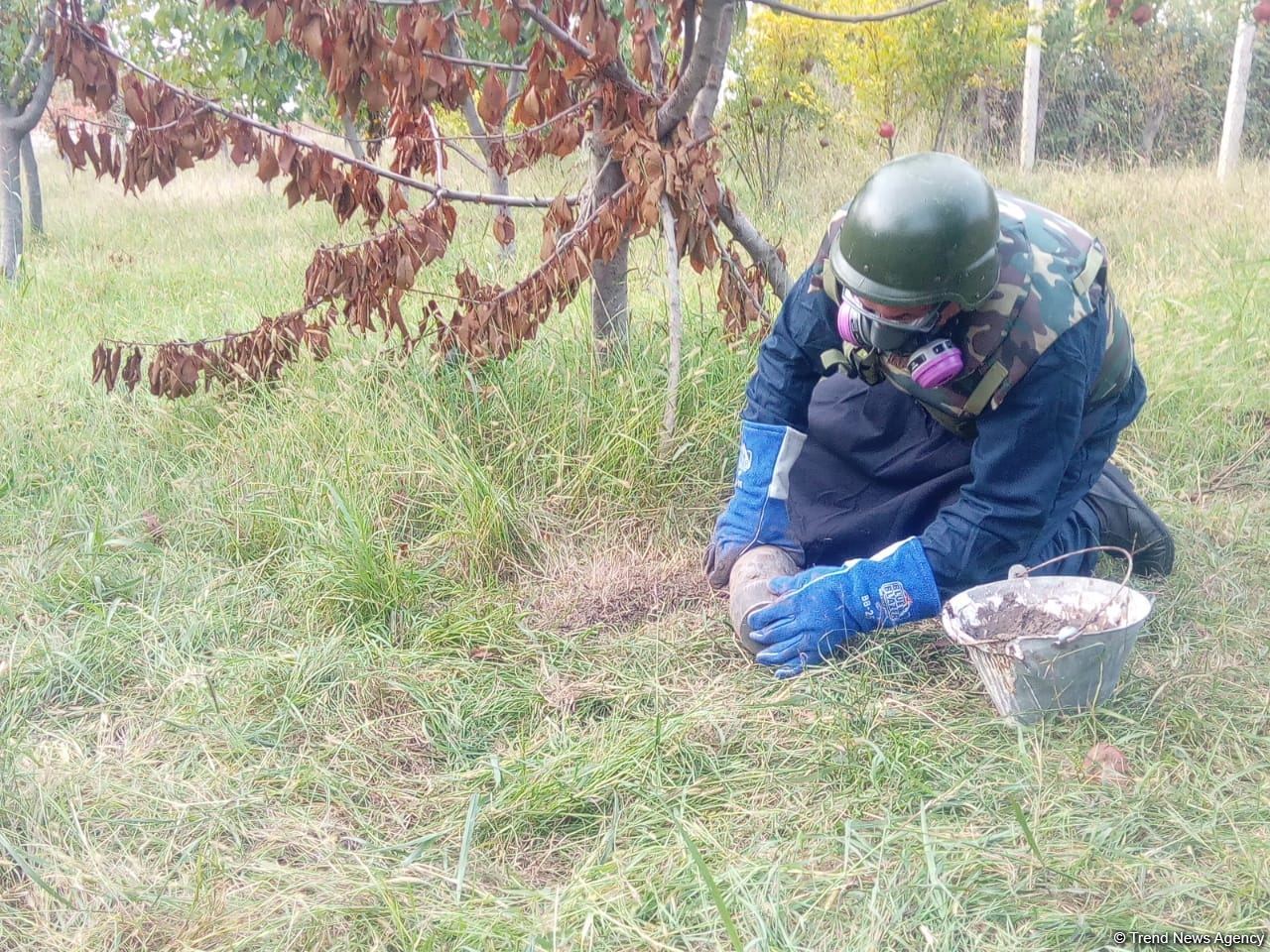 Ermənistan Tərtərə fosforlu bomba atıb (FOTO)