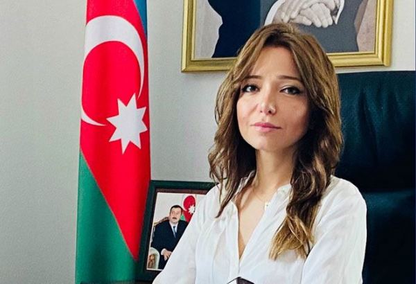 İşğal olunmuş ərazilərimizdə qanunsuz fəaliyyət göstərənlər məsuliyyətə cəlb ediləcək - Səfir