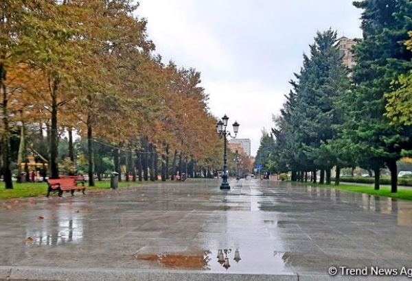 Sabahın hava proqnozu açıqlanıb
