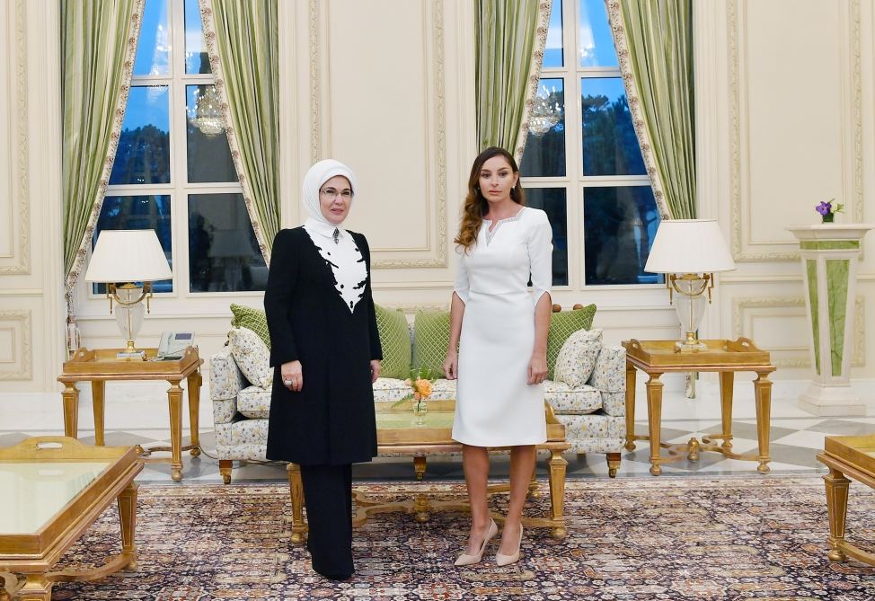 Azərbaycanın və Türkiyənin birinci xanımlarının görüşü olub