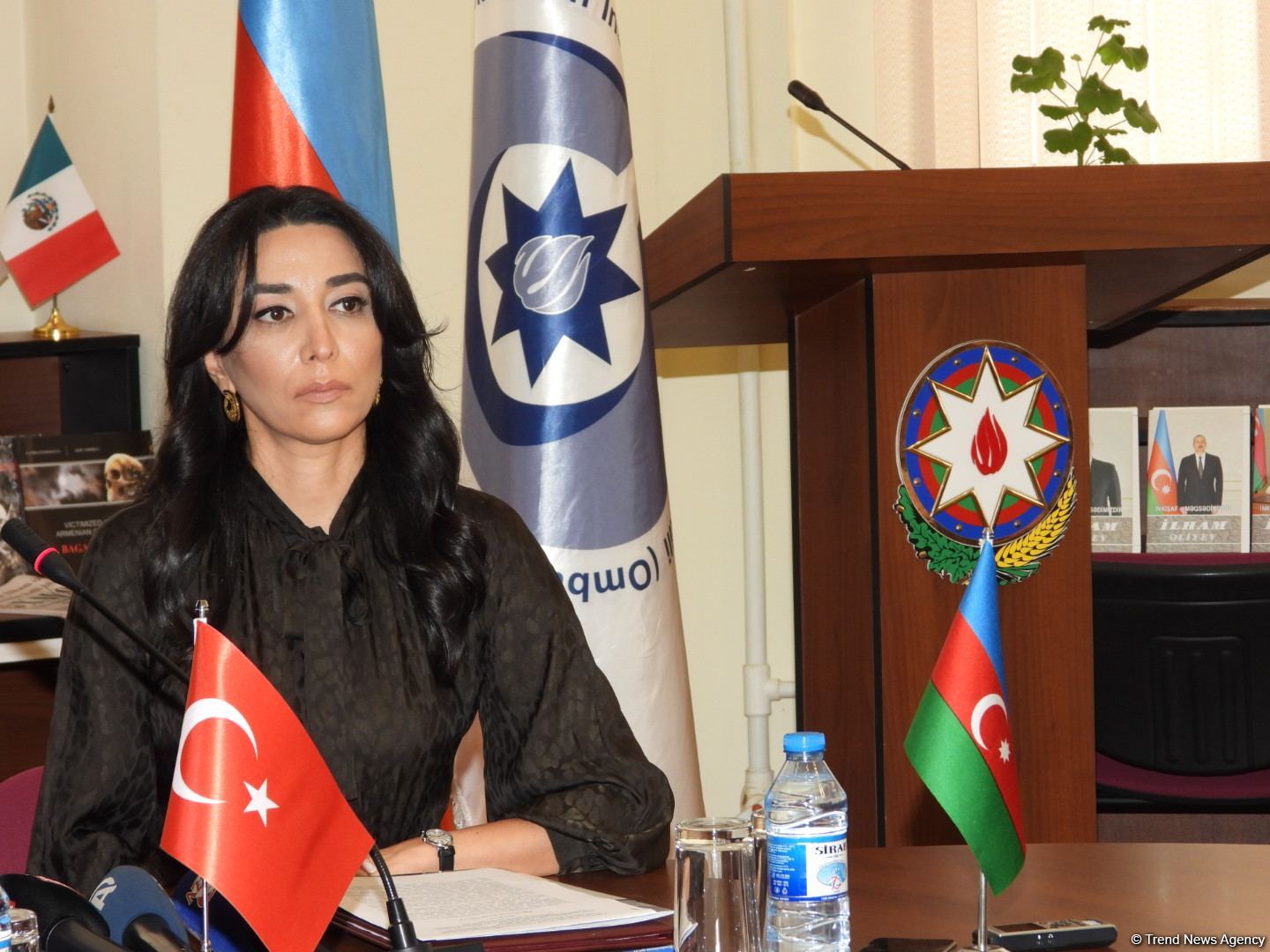 Ermənistandan fərqli olaraq Azərbaycanda hərbi əsirlərə qarşı humanist münasibət göstərilir - Ombudsman
