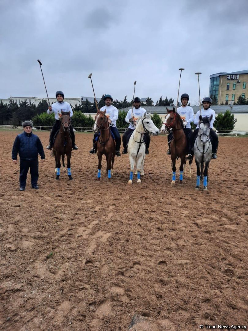 Kəndimiz işğal olunanda nəsli kəsilməsin deyə, Qarabağ atlarını Bakıya gətirdim - Şəmsəddin Atayev (FOTO)