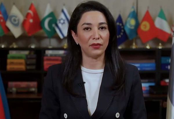 Ombudsman 20 Yanvar faciəsi ilə əlaqədar dünya ictimaiyyətinə müraciət edib (VİDEO)