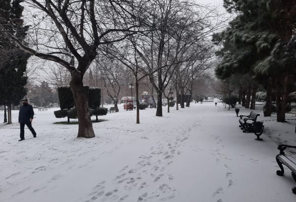 Bakıya ilk qar yağdı (FOTO)