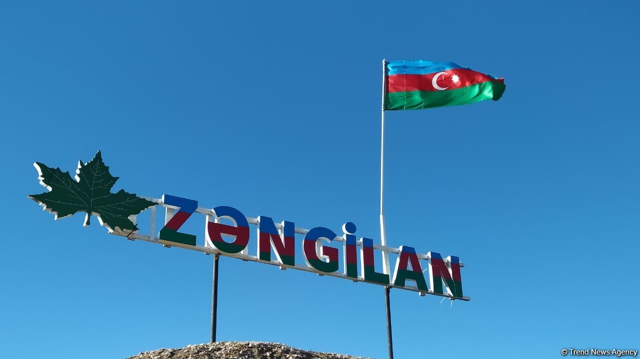 Zəngilanda ermənilər min illik ağacları yandırıblar (FOTO)