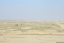 Türkiyədən gətirilən texnikalar real şəraitdə minatamizləmə fəaliyyəti icra ediblər - Trend TV-nin REPORTAJI (FOTO)