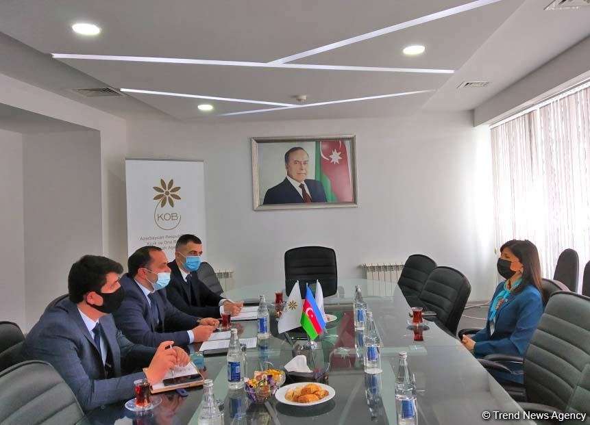 Millət vəkili Sevil Mikayılova seçiciləri ilə görüşüb, şəhid ailələrini ziyarət edib (FOTO)