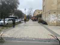 Bakının bu ərazisində ağaclar köçürülür (ƏLAVƏ OLUNUB) (FOTO)