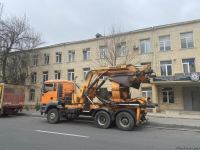 Bakının bu ərazisində ağaclar köçürülür (ƏLAVƏ OLUNUB) (FOTO)