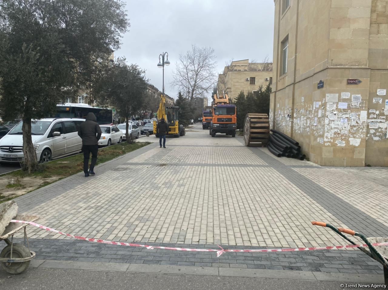 Bakının bu ərazisində ağaclar köçürülür (ƏLAVƏ OLUNUB) (FOTO)