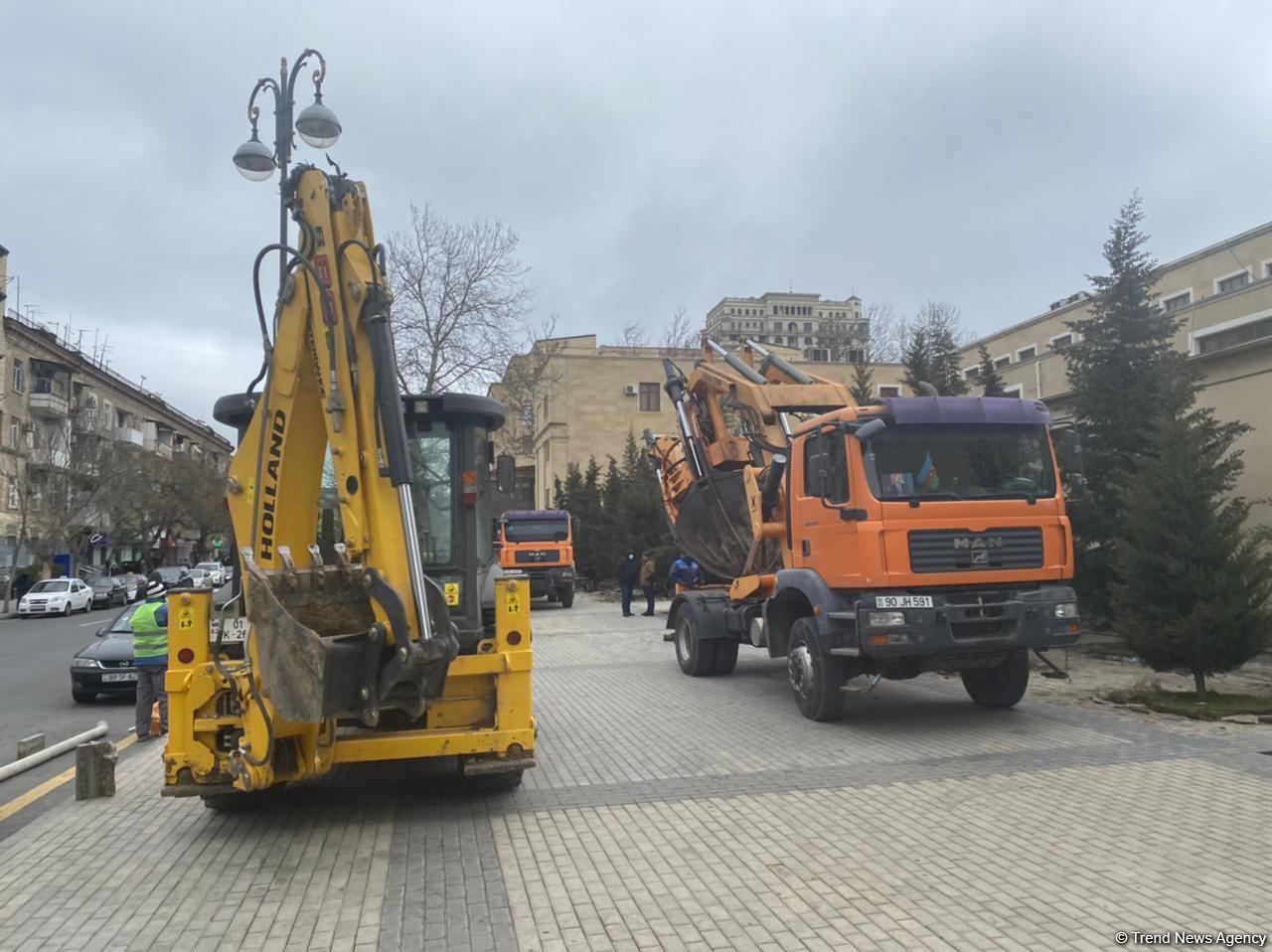 Bakının bu ərazisində ağaclar köçürülür (ƏLAVƏ OLUNUB) (FOTO)
