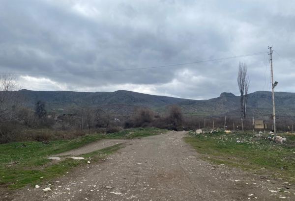 Qarabağda da sənaye parklarının yaradılmasının şahidi olacağıq - Komitə sədri