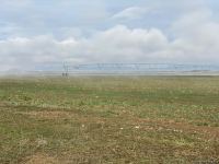 Cəbrayılda taxıl səpini aparılıb - Trend TV-nin reportajı