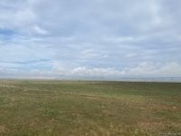 Cəbrayılda taxıl səpini aparılıb - Trend TV-nin reportajı