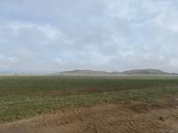 Cəbrayılda taxıl səpini aparılıb - Trend TV-nin reportajı