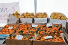 Bakıda yarmarkalar keçirilir: Bəs qiymətlər necədir? (FOTO/VİDEO)
