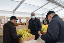 Bakıda yarmarkalar keçirilir: Bəs qiymətlər necədir? (FOTO/VİDEO)