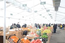 Bakıda yarmarkalar keçirilir: Bəs qiymətlər necədir? (FOTO/VİDEO)