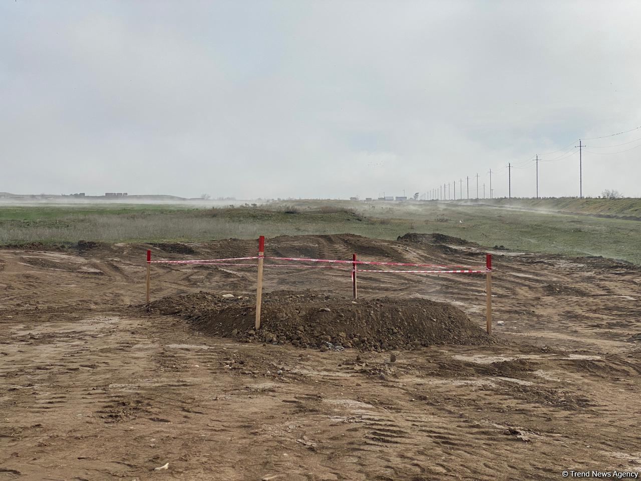 Cəbrayılda taxıl səpini aparılıb - Trend TV-nin reportajı