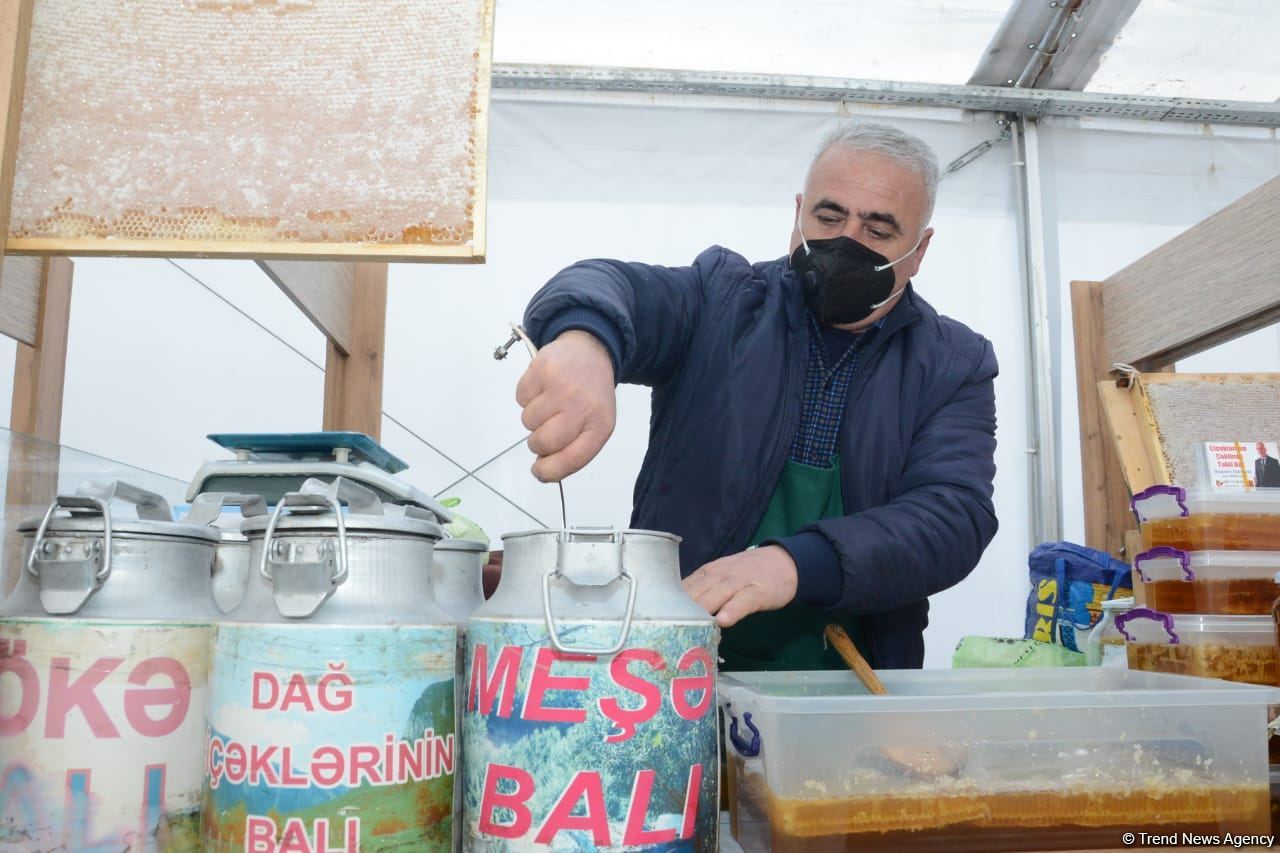 Bakıda yarmarkalar keçirilir: Bəs qiymətlər necədir? (FOTO/VİDEO)