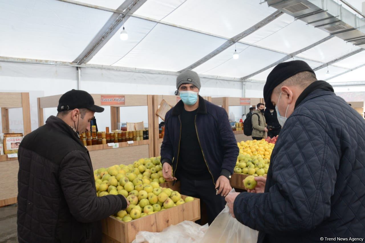 Bakıda yarmarkalar keçirilir: Bəs qiymətlər necədir? (FOTO/VİDEO)