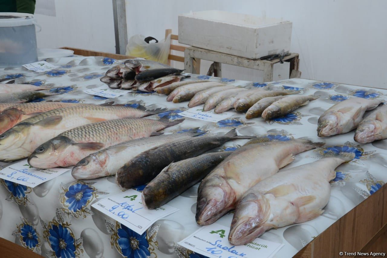 Bakıda yarmarkalar keçirilir: Bəs qiymətlər necədir? (FOTO/VİDEO)