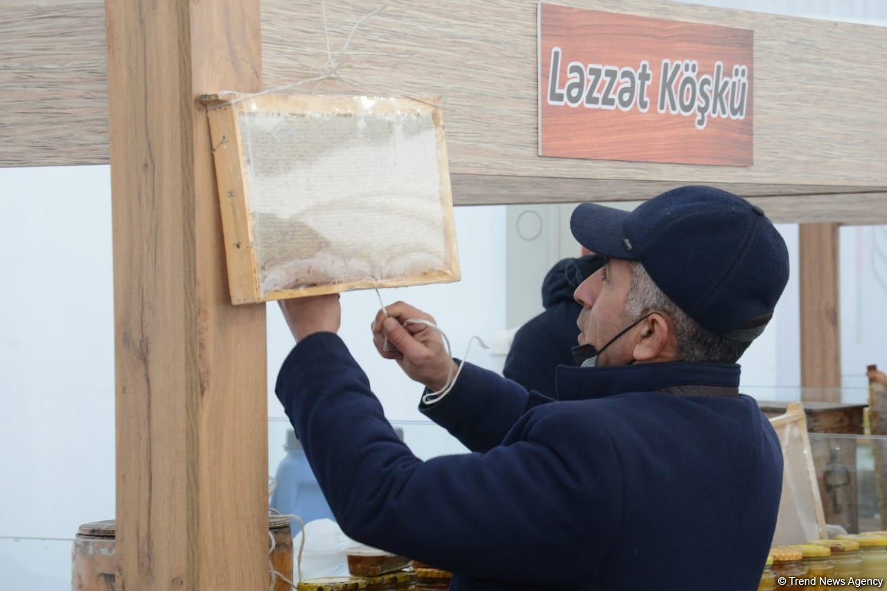 Bakıda yarmarkalar keçirilir: Bəs qiymətlər necədir? (FOTO/VİDEO)