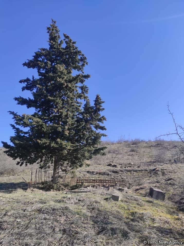 Erməni vandalizminə məruz qalan Sarallı Xəştab kəndi (FOTO)