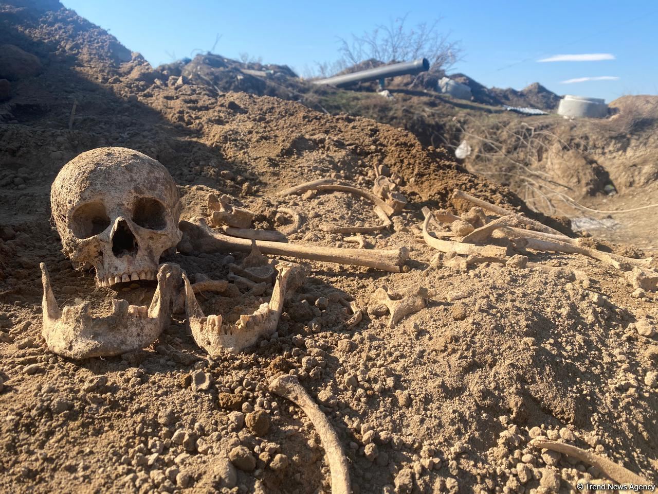 Qəbələdə kişi skeleti aşkarlanıb