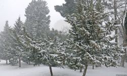Bakıda bu qışın ən soyuq günüdür (FOTOSESSİYA)