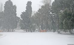 Bakıda bu qışın ən soyuq günüdür (FOTOSESSİYA)