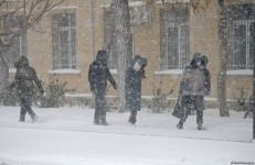 Bakıda bu qışın ən soyuq günüdür (FOTOSESSİYA)