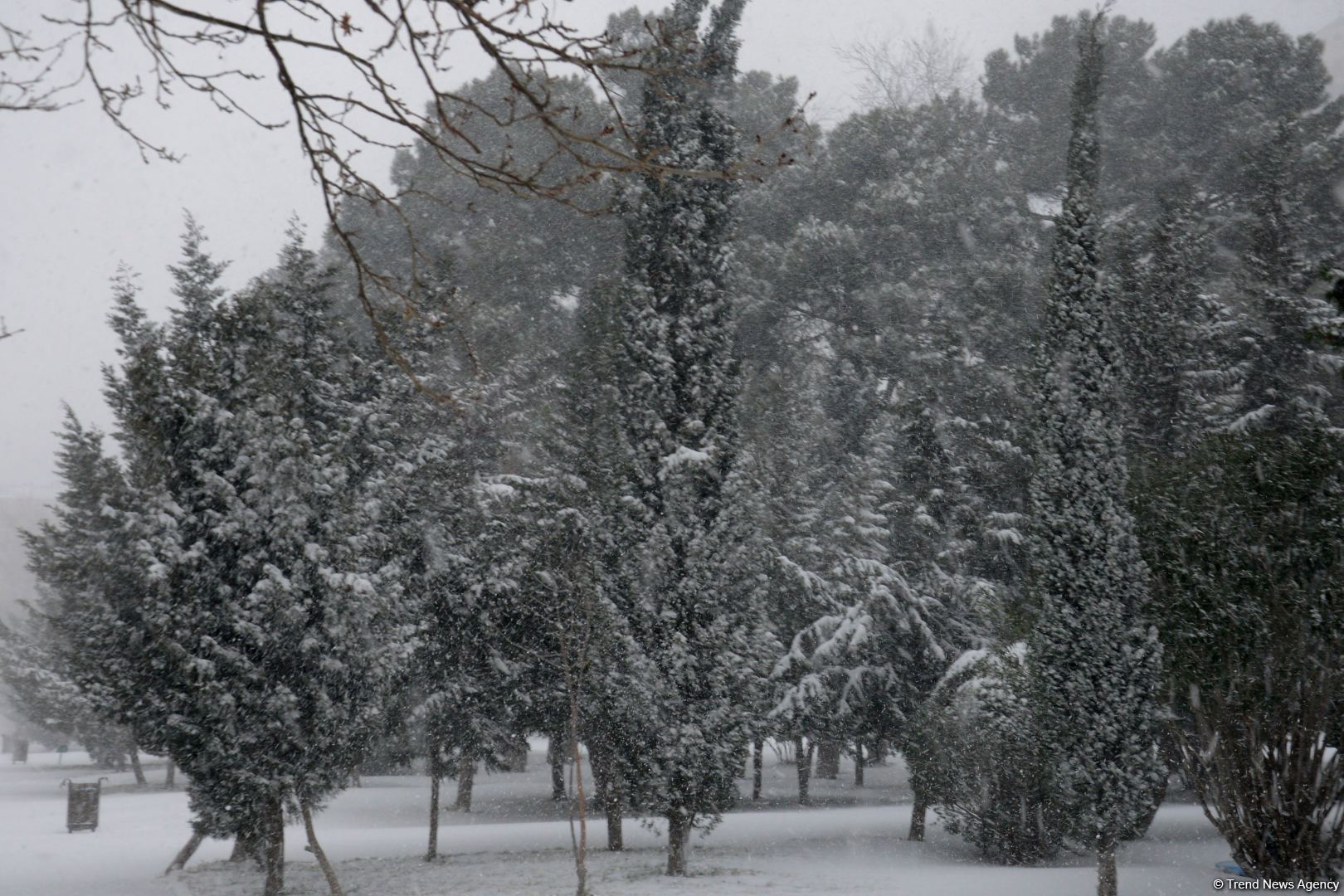 Bakıda bu qışın ən soyuq günüdür (FOTOSESSİYA)