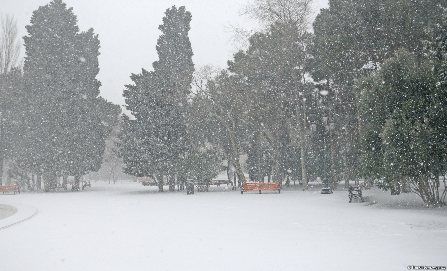 Bakıda bu qışın ən soyuq günüdür (FOTOSESSİYA)