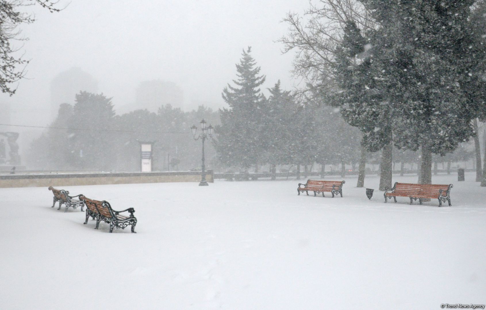 Bakıda bu qışın ən soyuq günüdür (FOTOSESSİYA)