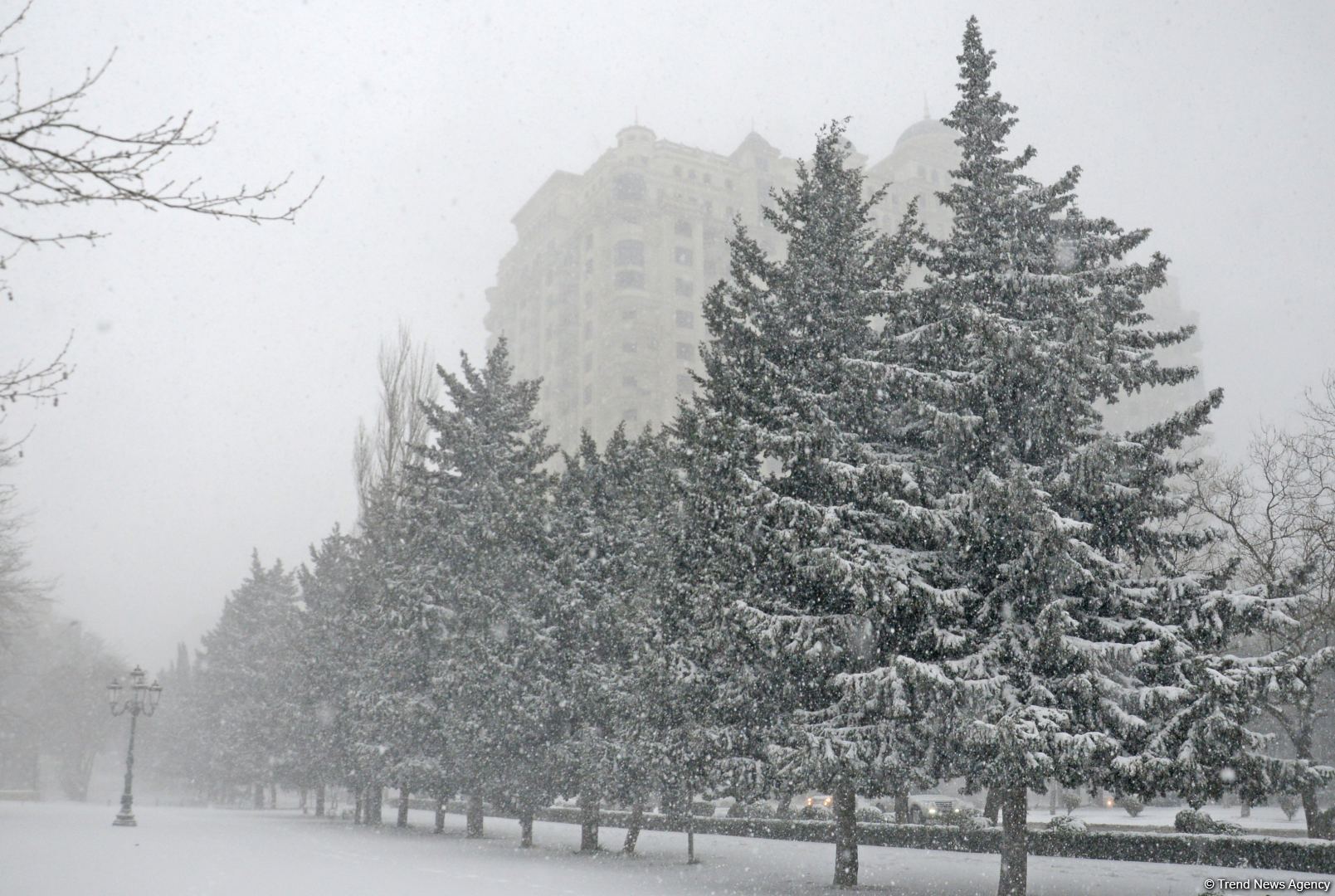 Bakıda bu qışın ən soyuq günüdür (FOTOSESSİYA)