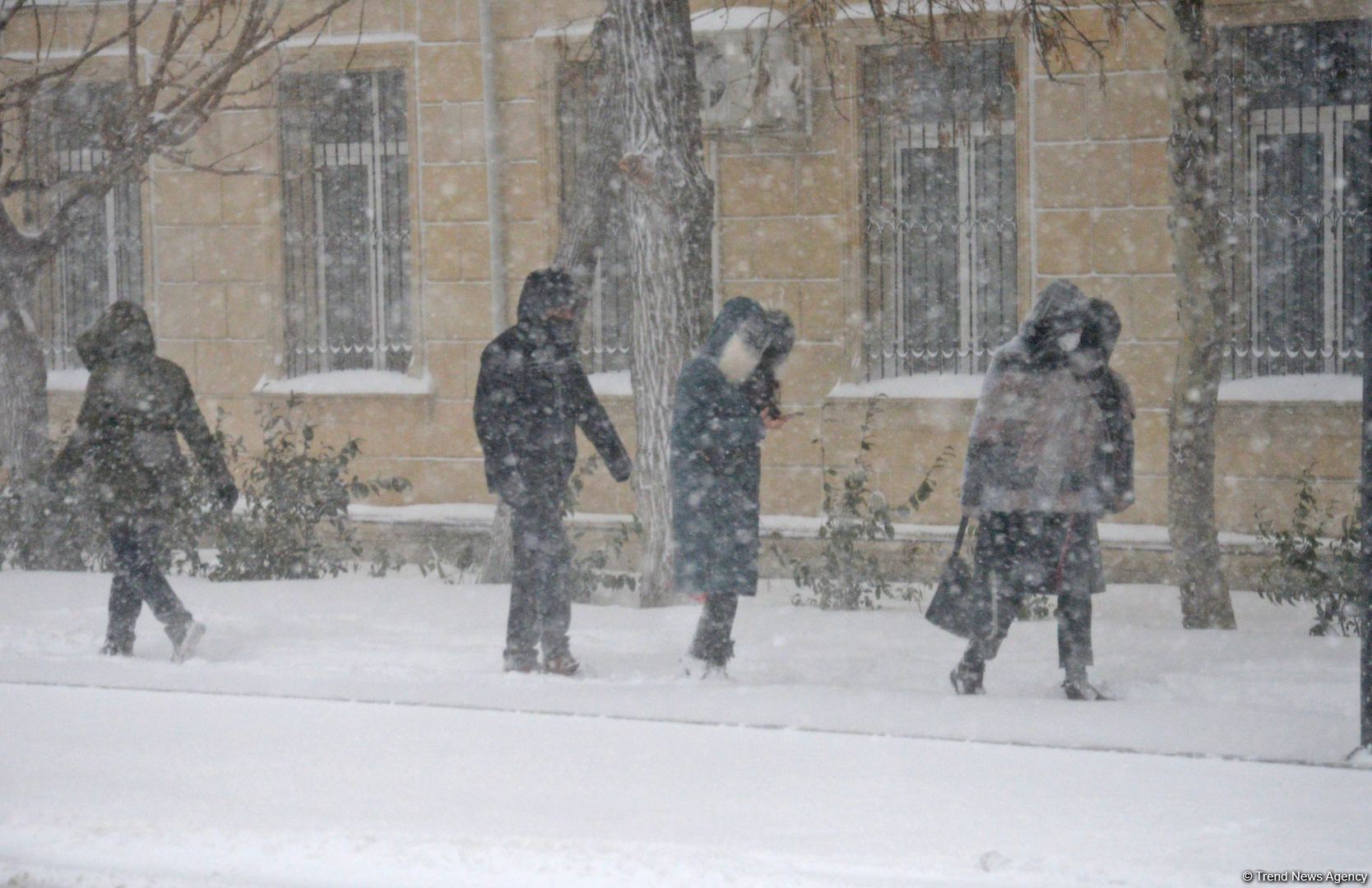 Bakıda bu qışın ən soyuq günüdür (FOTOSESSİYA)