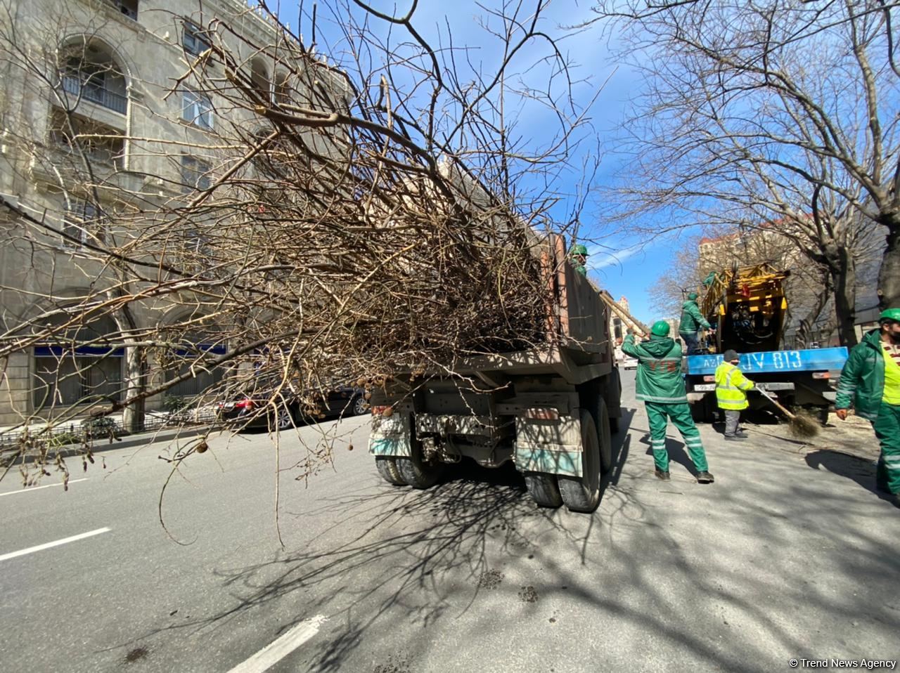 Bakı küçələri qardan sonra təmizlənir (FOTO)