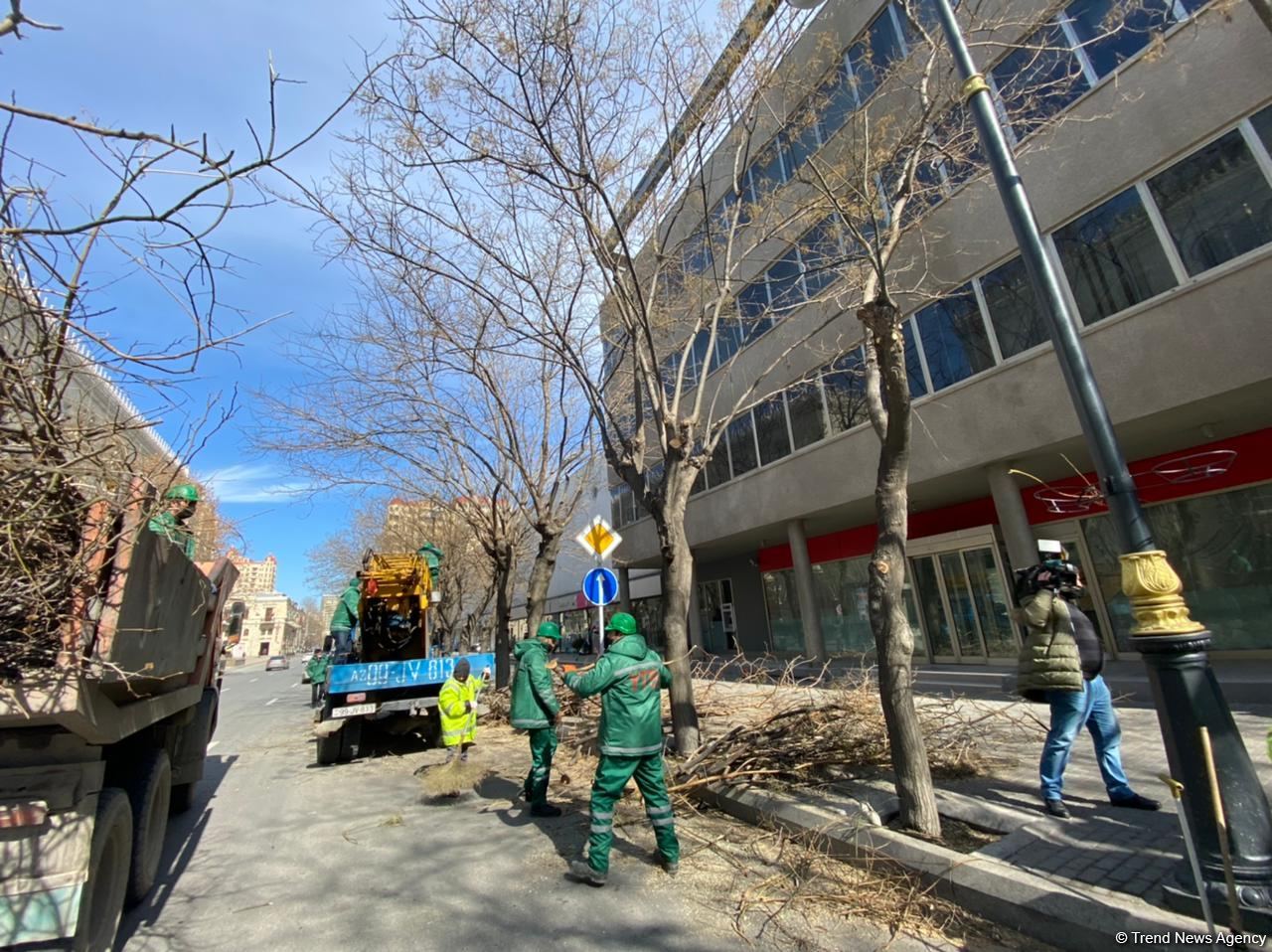Bakı küçələri qardan sonra təmizlənir (FOTO)