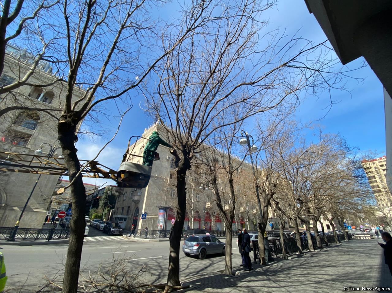 Bakı küçələri qardan sonra təmizlənir (FOTO)