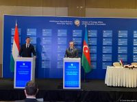 Azərbaycan və Macarıstan XİN başçılarının mətbuat konfransı keçirilib (FOTO/VİDEO)