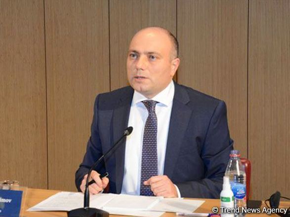 Mədəniyyət naminə sülh təşəbbüsü ilə bağlı fəaliyyət planı hazırlayırıq - Anar Kərimov