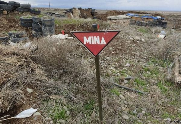 Ermənilər məqsədli şəkildə hərbi təyinatı olmayan əraziləri də minalayıblar - Deputat