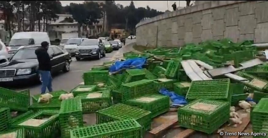 Bakıda yük maşını aşdı, toyuqlar yola töküldü (FOTO)