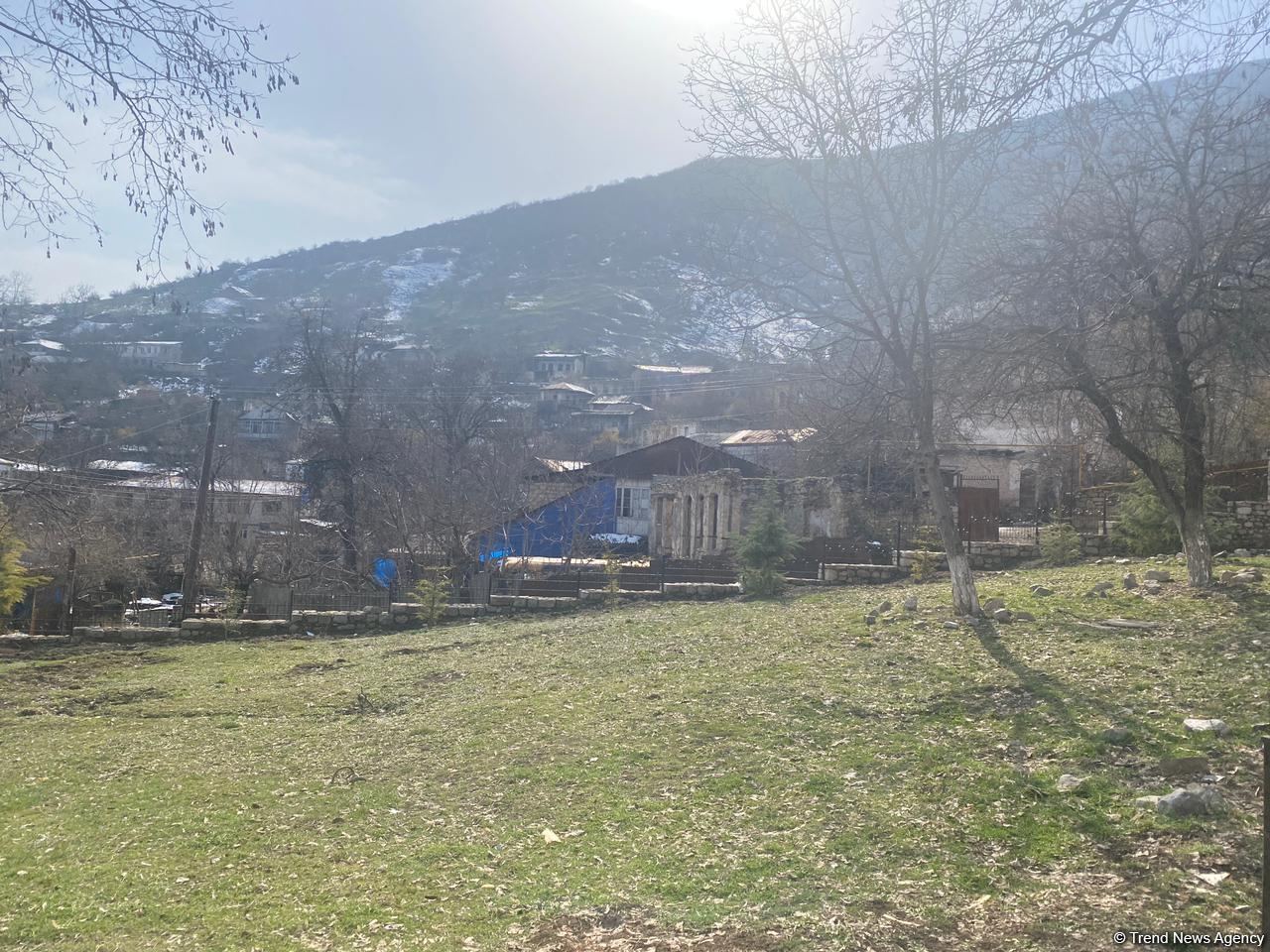 İşğala qədərki dövrdə Xocavənddə təbiət abidəsi statusuna malik ağacların sayı açıqlanıb