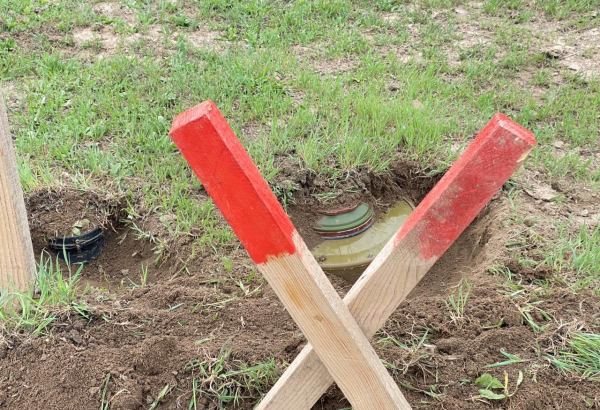 Minalardan və partlamamış hərbi sursatlardan təmizləmə üzrə İşçi Qrupun növbəti iclası keçirilib